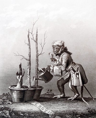 Sanatçı Kataloğunun Kuyruk Parçası by William Hogarth