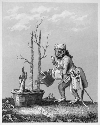 Kuyruk, Sanatçılar Kataloğuna Parça, 1761 by William Hogarth