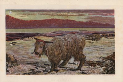  by William Holman (after) Hunt