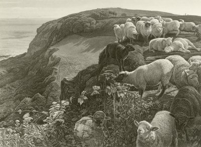 Yamaçta (gravür) by William Holman Hunt