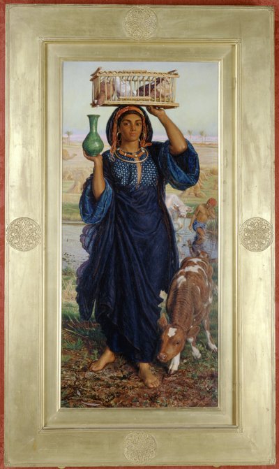 Mısır