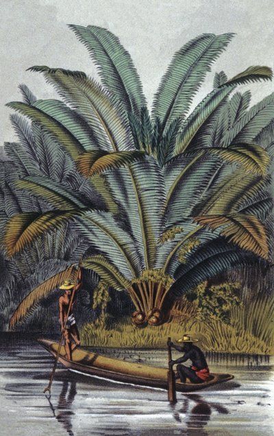  by William Hooker