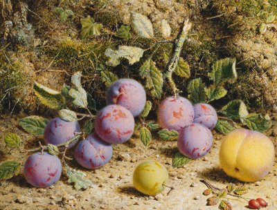 Erik, Şeftali ve Kuşburnu ile Natürmort, by William Hough