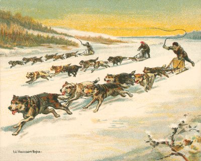Yarışlar Tarihi ve Modern, Kanada Köpek Kızağı Yarışları (chromolitho) by William Hounsom Byles