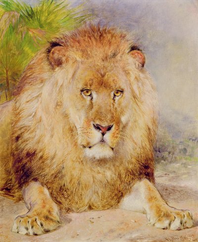 Aslan by William Huggins