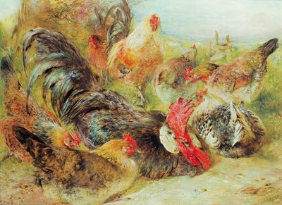 Kümes hayvanları by William Huggins
