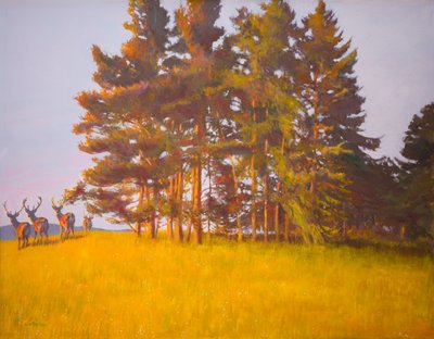 Kabinden görünüm (gemideki yağ) by William Ireland