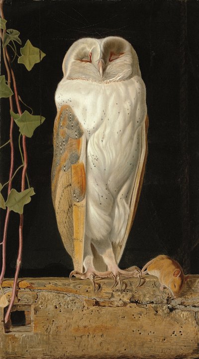 Beyaz Baykuş: "Yalnız ve beş aklını ısıtıyor, beyaz baykuş çan kulesinde oturuyor", 1856 by William J. Webbe