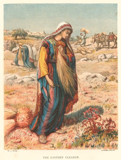 The Eastern Gleaner (renkli gravür) by William J. Webbe or Webb