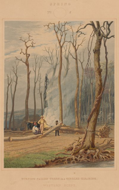 Bahar -- Kuşaklı Bir Açıklıkta Düşen Ağaçları Yakmak. Batı Sahnesi by William James Bennett after George Harvey
