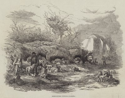 Tarım Resimleri, Kuzulama by William James Linton