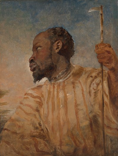 Köleleştirilmiş bir Afrikalı by William James Muller
