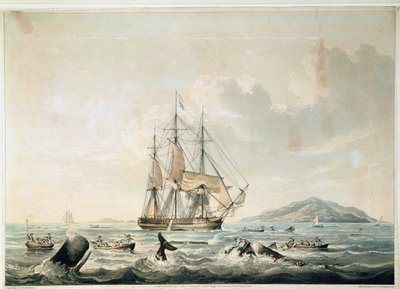  by William John (after) Huggins