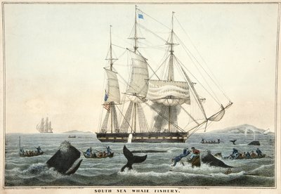 Güney Denizi Balina Balıkçılığı, pub. 1825 (renkli litografi) by William John Huggins
