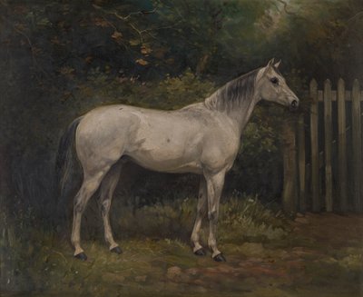Turşu: Basuto midillisi, c.1904 (tuval üzerine yağlı boya) by William Josiah Redworth