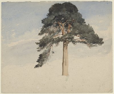 İskoç çam ağacı by William Leighton Leitch
