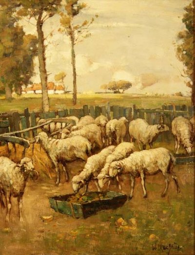 Koyun Kıvrımı by William McBride
