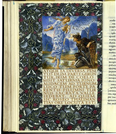 Iris, Turnus
