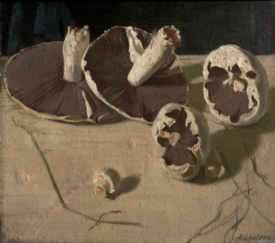 Mantarlar by William Nicholson