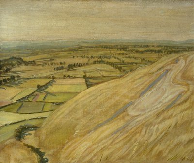 Beyaz At (panelde yağ) by William Nicholson
