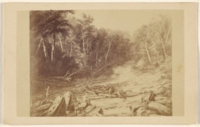  by William Notman