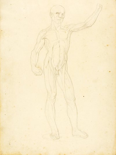  by William Page