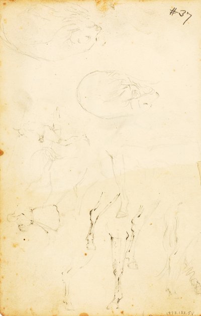  by William Page