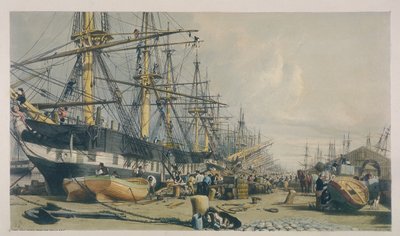 Batı Hindistan Rıhtımlarının güneydoğudan görünümü, 1840 by William Parrott