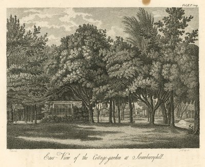 Strawberry Hill, Twickenham, Londra