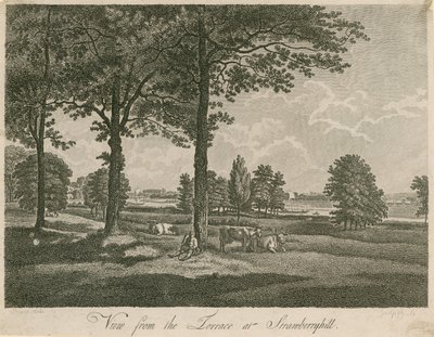 Strawberry Hill, Londra