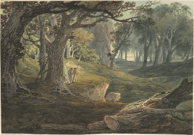 Woodland Glade