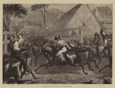 Avustralya'da Sığır Toplama by William Ralston