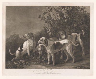 dört av köpeği Harriers (nesne üzerindeki başlık) by William Satchwell Leney