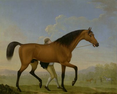 Ancasters Körfezi Aygırı Dükü, Boş, bir Kısrağa doğru yürüyor by William Shaw