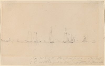Stony Brook Paketinin Gemisinde by William Sidney Mount