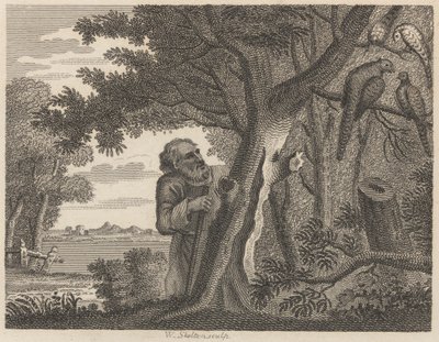 Filozof ve Sülünler by William Skelton