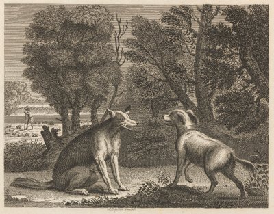 Çoban Köpeği ve Kurt by William Skelton