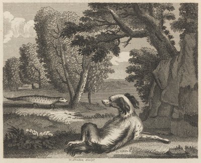 Spaniel ve Kameleon by William Skelton