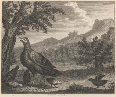 Türkiye ve Karınca by William Skelton