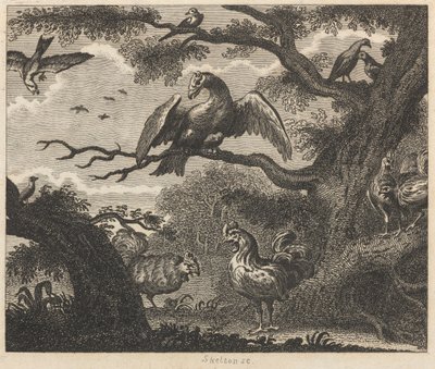 Akbaba, Serçe ve diğer Kuşlar by William Skelton