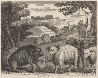 Yaban Domuzu ve Koç by William Skelton