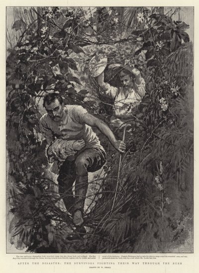 Felaketten sonra, Kurtulanlar Bush'a doğru savaşıyorlar by William Small