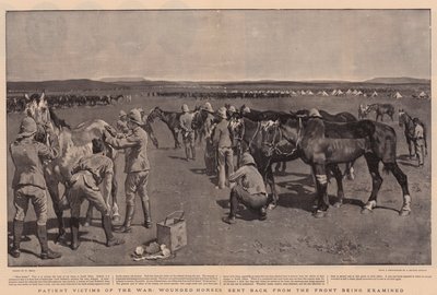 Savaşın Sabırlı Kurbanları, Cepheden Geri Gönderilen Yaralı Atlar İnceleniyor by William Small