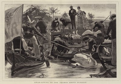 Windsor'un üzerindeki Thames Nehri'nde Kuğulama by William Small