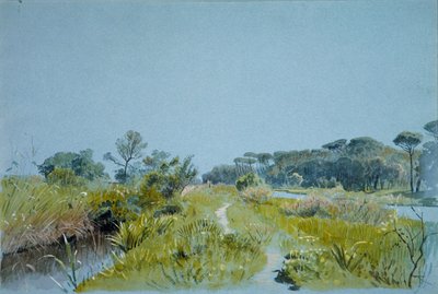 Castel Fusano Yakın Roma, yaklaşık. 1885. by William Stanley Haseltine