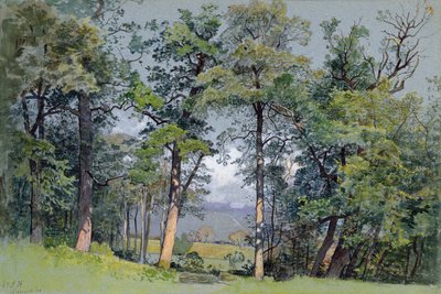  by William Stanley Haseltine