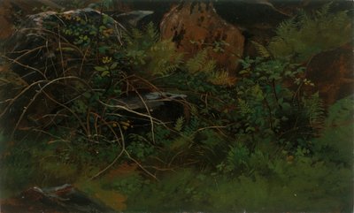 Doğadan Eğitim. by William Stanley Haseltine