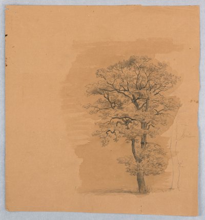 Yeşillik çalışması by William Stanley Haseltine