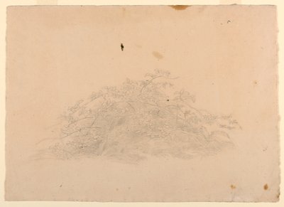 Yeşillik çalışması by William Stanley Haseltine