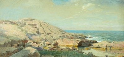 The Maine Coast at Sunset (kağıt üzerinde karışık teknik) by William Stanley Haseltine